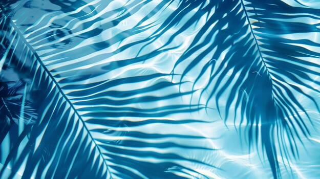 A blue leafy palm tree is reflected in the water photo