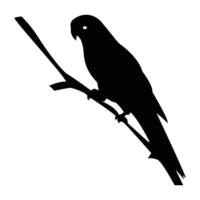 parrot sitting on a branch silhouette on a white background. vector