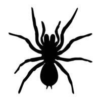 Tarantula spider silhouette, illustration on a white background. Scary big spider-poisonous insect, arachnophobia background. vector