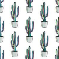 Cactus Pattern illustration, Cactus flat style, Cactus illustration on white isolated background vector