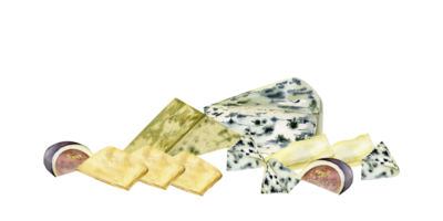 Käse Teller Schnitt mischen Aquarell Essen Illustration. Hand gezeichnet Brie , Gouda , Feigen, Scheiben und Stücke zum Speisekarte, Restaurant, Produkt Verpackung Design png