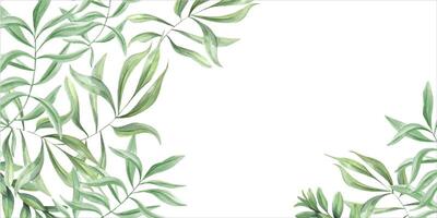 verde plantas. adelfa sucursales. modelo con aceituna hojas. horizontal marco con Copiar espacio para texto. acuarela ilustración. floral tropical diseño para tarjetas, Boda fiesta invitaciones vector