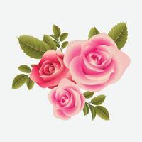 elements set of Red, Pink roses petals, leaves, bud and an open flower vector