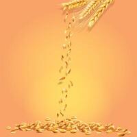 Realistic Wheat with Background vector