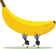 Cute two ants carrying a banana vector