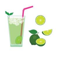 Lime set flat style illustration isolated on white background. Summer elements. Summer concept. vector