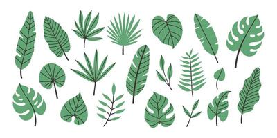 Set of hand drawn tropical leaves. Exotic leaves and branches in minimalistic flat style isolated on white background. Natural elements for the design of patterns, ornaments, weddings vector