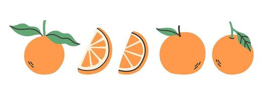 conjunto de resumen naranja. sencillo naranja. tropical Fruta colección diseño para interior, póster, cubrir, bandera. vector