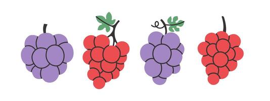 Set of abstract grape. Simple grape. Tropical fruit collection design for interior, poster, cover, banner. vector