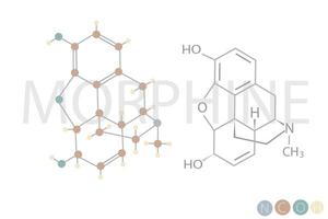 morfina molecular esquelético químico fórmula vector