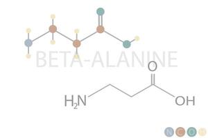 beta Alanina molecular esquelético químico fórmula vector