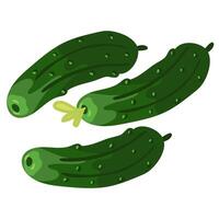 Fresh small cucumbers are isolated, suitable for the image of fresh products from the garden. Gherkins. Ideal for cooking graphics, salad recipes, healthy lifestyle blogs. illustration vector