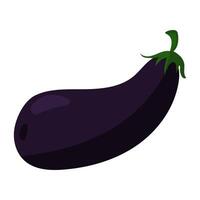 Fresh purple eggplant is isolated, showing off its bright color and glossy texture. Ideal for cooking graphics, recipe postcards, farm market commercials, healthy lifestyle blogs. illustration vector
