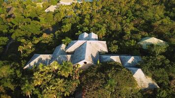 Antenne Aussicht von verlassen Hotel im das Urwald auf das Küste von das Karibik Meer im punta cana video