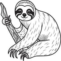 Sloth coloring pages. Sloth animal outline for coloring book vector