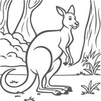 Kangaroo coloring pages. Kangaroo animal outline for coloring book vector