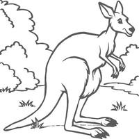 Kangaroo coloring pages. Kangaroo animal outline for coloring book vector