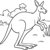 Kangaroo coloring pages. Kangaroo animal outline for coloring book vector