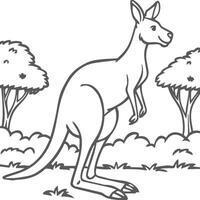 Kangaroo coloring pages. Kangaroo animal outline for coloring book vector