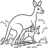 Kangaroo coloring pages. Kangaroo animal outline for coloring book vector