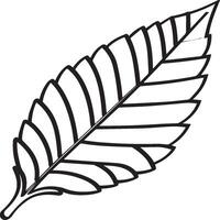 Leaf coloring pages. Leaf outline for coloring book vector