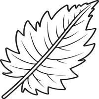 Leaf coloring pages. Leaf outline for coloring book vector