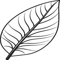 Leaf coloring pages. Leaf outline for coloring book vector