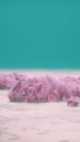 Purple and pink soft corals and red sponges video