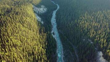 Antenne Aussicht von mistaya Schlucht, felsig Berge, Kanada. video