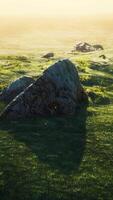 prado alpino com pedras e grama verde video