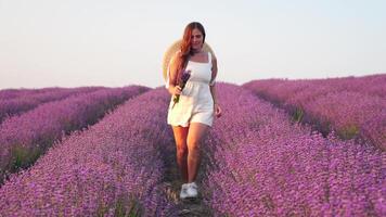 vrouw in lavendel veld- - gelukkig dame in hoed geniet zonnig dag, zwervend in lavendel veld, waarderen natuur. meisje waardeert lavendel boeket geur, staand in veld, Aan een Doorzichtig dag. video