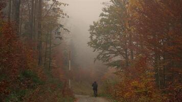 Male cyclist riding uphill on gravel bike view from back in autumn in forest with yellow leaves in mountains of Germany, Bavaria region. Bikepacker bicyclist in mountainous countryside in woods fall. video