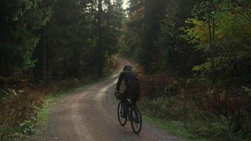manlig cyklist ridning uppför på grus cykel se från tillbaka i höst i skog med gul löv i bergen av Tyskland, bavaria område. bikepacker cyklist i bergig landsbygden i trän falla. video