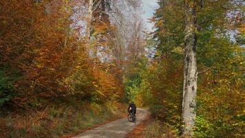masculino ciclista montando cuesta arriba en grava bicicleta ver desde espalda en otoño en bosque con amarillo hojas en montañas de Alemania, Baviera región. mochilero ciclista en montañoso campo en bosque caer. video
