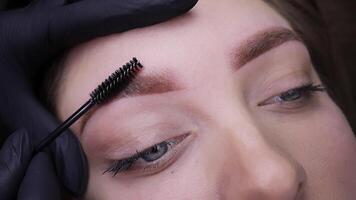Application of pigment for permanent eyebrow makeup video