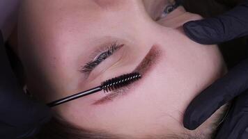 Application of pigment for permanent eyebrow makeup video