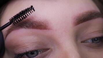 Permanent makeup procedure, performing PMU of eyebrows video