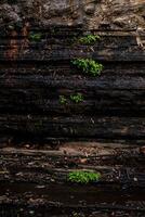 Divided by large cracks and layers, the cliff face is aged and rugged. Text on the subject of geology and mountain climbing with coarse, rough gray stone or rock texture of mountains in the background photo