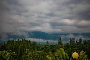 el maravilloso ver desde un del turista punto de vista como ellos Vamos abajo un colina en un brumoso sendero con un colina y un antecedentes de un dorado cielo en bosque parque, tailandia aves ojo vista. aéreo vista. foto