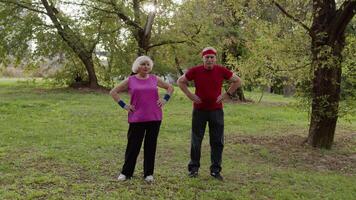 ativo Senior casal fazendo manhã alongamento fisica exercícios dentro parque. ginástica família lazer video