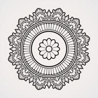 mandala floral ornament vector