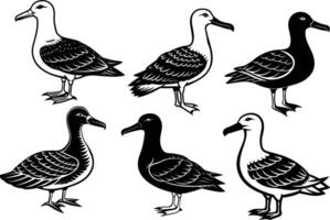 conjunto de albatros silueta ilustración vector