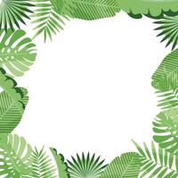 square frame of tropical leaves. white background. Summer template. copy space vector