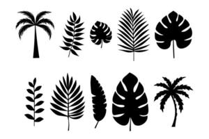 Tropical Leaves in doodle style. elements. silhouette of Exotic summer botanical. Monstera leaves, palm, banana leaf. vector