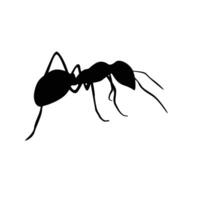 ant silhouette design. small animal sign and symbol. vector