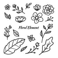 Set of hand drawn leaves and flower decorative floral element vector