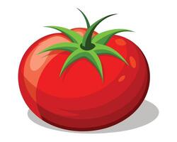 grande maduro rojo Fresco cortar tomate en blanco antecedentes vector