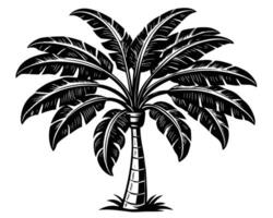 Banana Garden Images vector