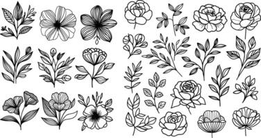 set of flower. Botanical collection with flowers and leaves. Set of floral design elements.Black lines flowers collection vector