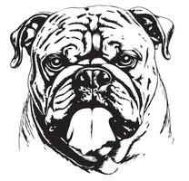Bulldog head hand drawn sketch illustration vector